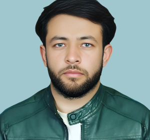 Zulfiqar Ali